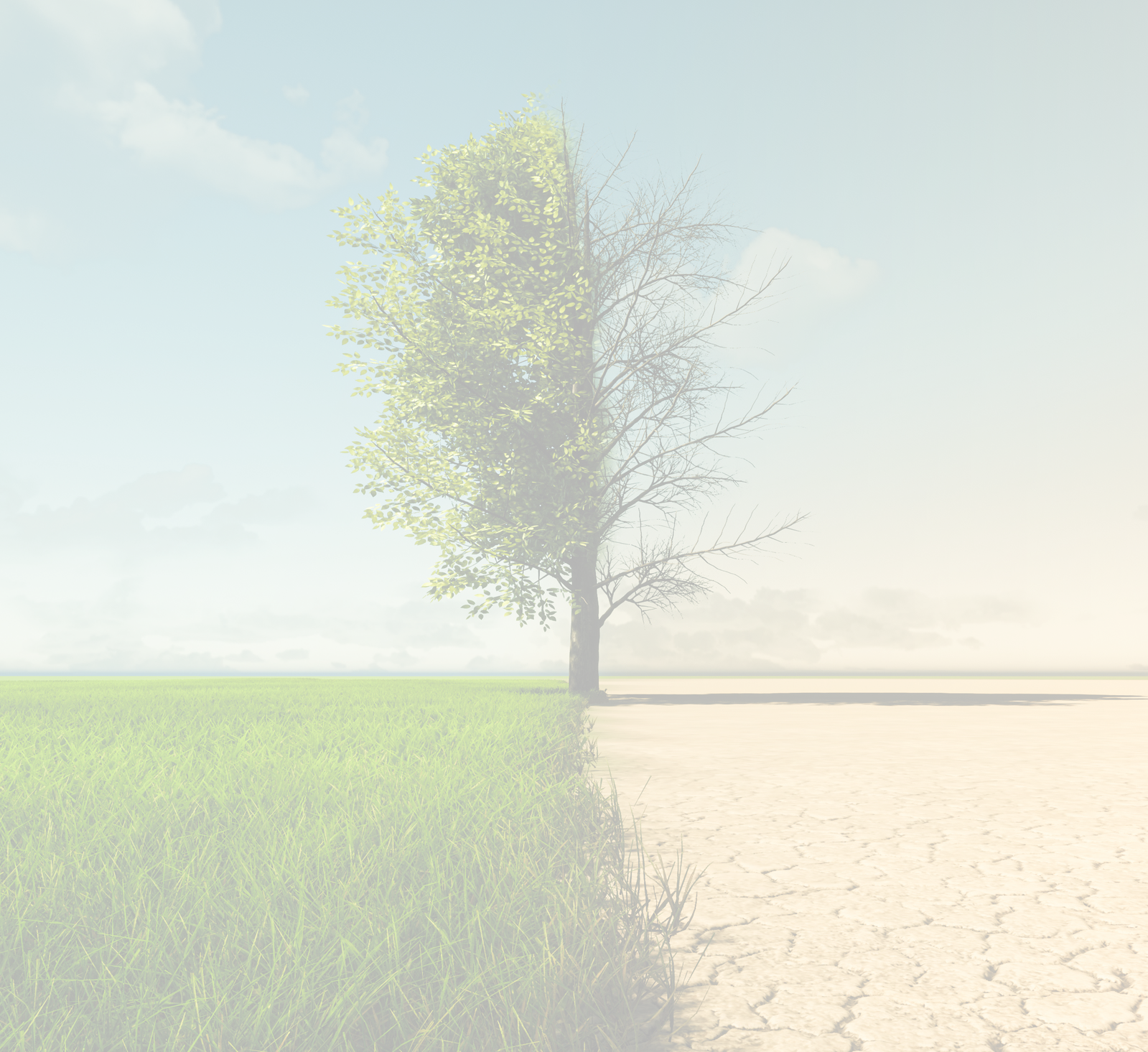 anatomy-of-change-tree.png